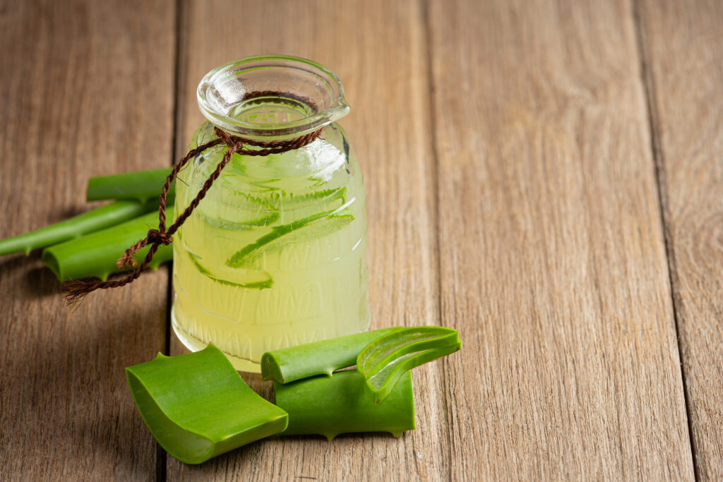 Suco da babosa: Os benefícios e como preparar!