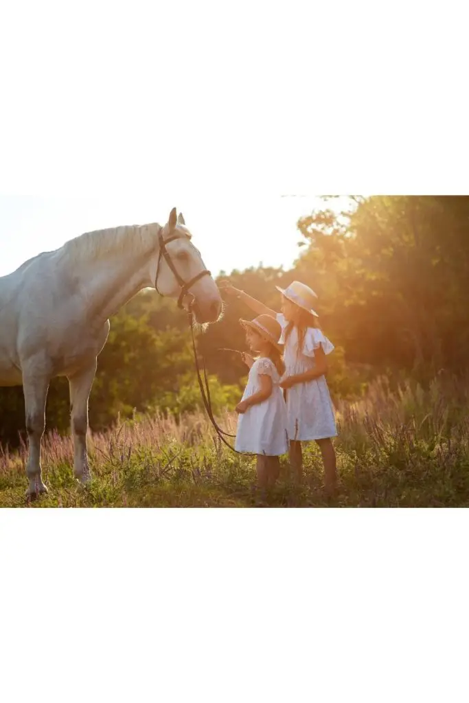 Criar os filhos na roça com uma vida simples longe da cidade: Aventuras e desafios de uma educação rural!