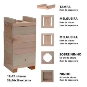 Caixa-para-abelhas-Jatai-Tetragonisca-angustula-300x300 Abelha Jataí: O Guia Completo para Criar e Atrair (+ Cursos 100% Gratuito)
