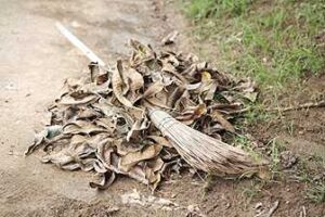 vassoura-de-piacava-300x200 Casa Limpa e Tempo de Sobra: O Segredo da Vovó da Roça