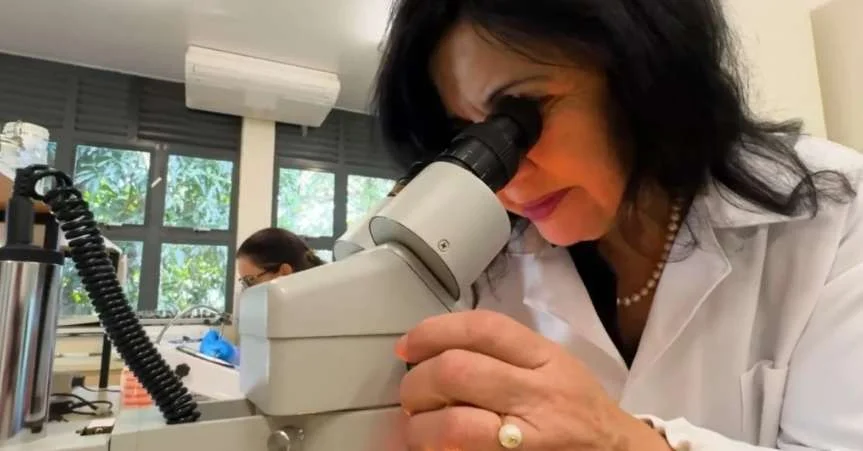 Mariangela-Hungria-pesquisando Cientista da Embrapa Ganha 'Nobel da Agricultura' com Pesquisa que Economiza Bilhões no Agro Brasileiro