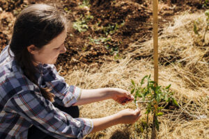alto-angulo-mulher-staking-jardim-300x200 Como Regenerar Um Solo Degradado