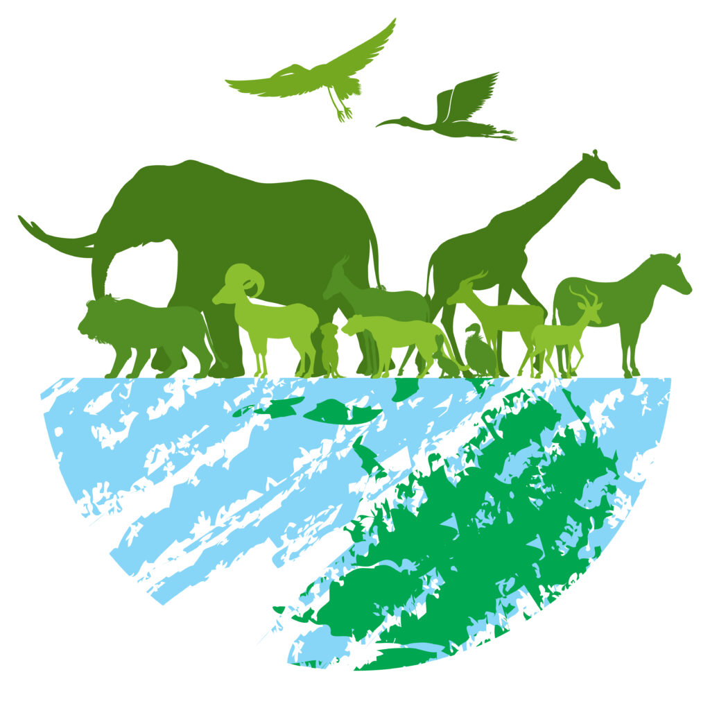 biodiversidade-1024x1018 Dia Mundial da Conservação da Natureza: Nosso Jeito da Roça de Cuidar do que é Nosso