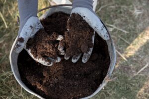 conceito-de-compostagem-de-natureza-morta-1-300x200 Cultivo de Jabuticaba: O Guia Completo para Iniciantes