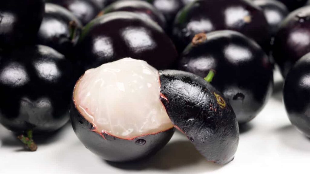 jabuticabas-1024x576 Cultivo de Jabuticaba: O Guia Completo para Iniciantes