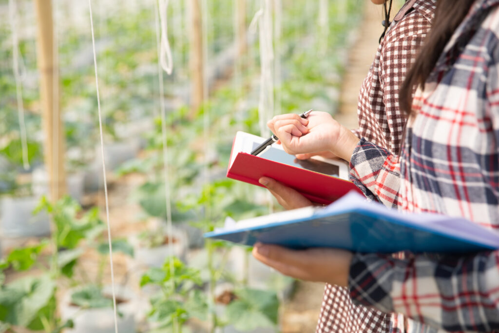 o-agronomo-examina-as-mudas-de-melao-em-crescimento-na-fazenda-agricultores-e-pesquisadores-na-analise-da-planta-1024x683 Vida no Campo: 5 Desafios Reais de Morar na Roça