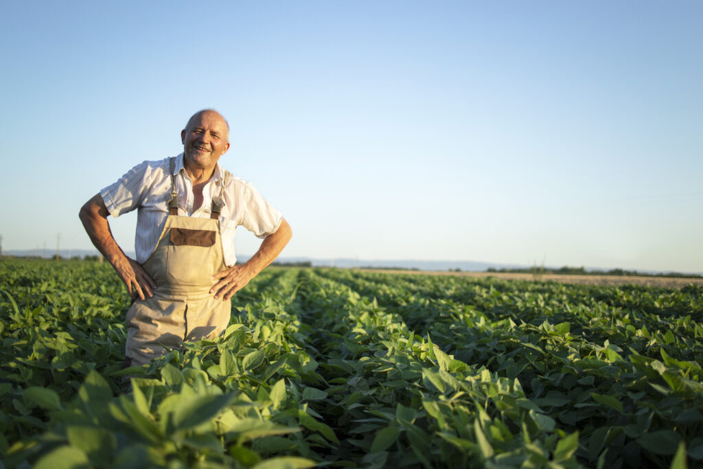 retrato-de-fazendeiro-agronomo-senior-em-pe-no-campo-de-soja-verificando-as-colheitas-antes-da-colheita-1024x683 Cientista da Embrapa Ganha 'Nobel da Agricultura' com Pesquisa que Economiza Bilhões no Agro Brasileiro