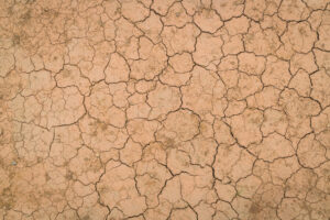 textura-a-terra-seca-e-rachada-300x200 Como Regenerar Um Solo Degradado
