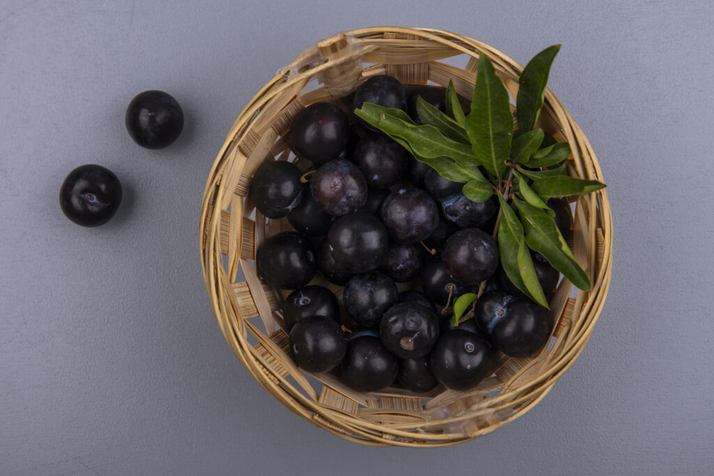 vista-superior-da-ameixa-cereja-em-uma-cesta-em-um-fundo-cinza-1024x683 Cultivo de Jabuticaba: O Guia Completo para Iniciantes
