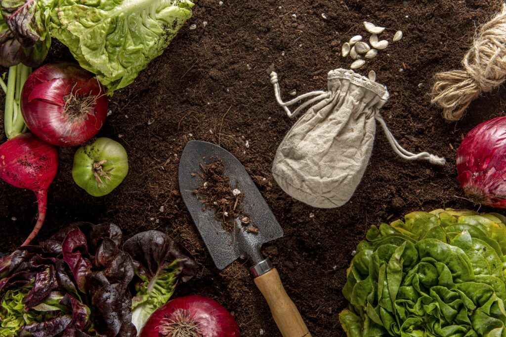 vista-superior-de-vegetais-com-salada-e-ferramenta-1024x683 Permacultura: A Arte de Conversar com a Terra para Criar Abundância