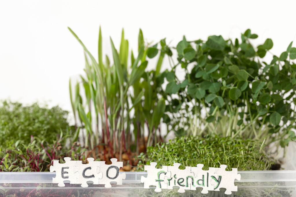 microverdes-de-rabanete-com-sementes-e-raizes-germinacao-de-sementes-em-casa-1024x683 🌿 Horta Produtiva: Tabela Secreta de Plantas Companheiras (Quem Plantar Perto de Quem)