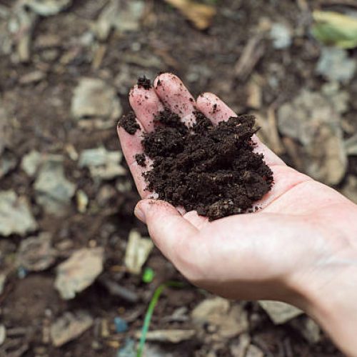 Woman holding a soil.